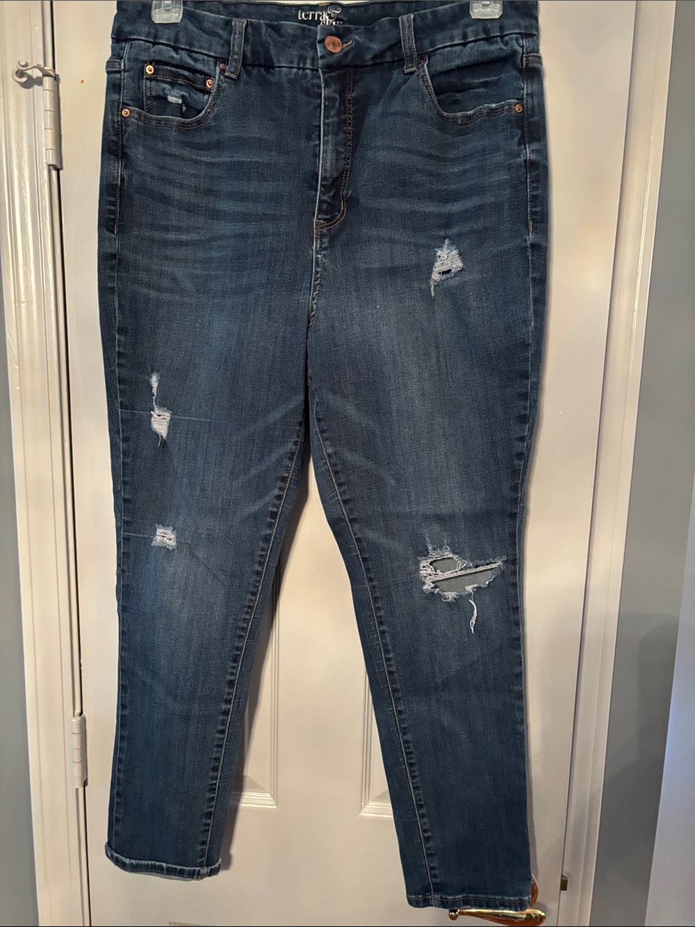 Terra & Sky Women's Dark Wash Distressed Skinny Jeans